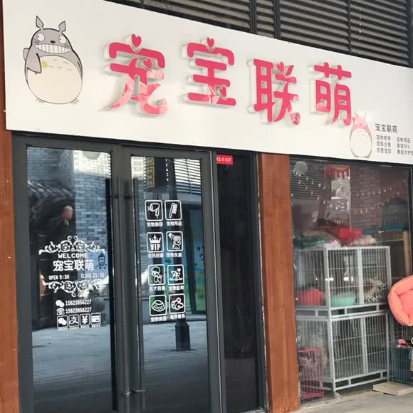 宠宝联萌:黄冈市麻城市