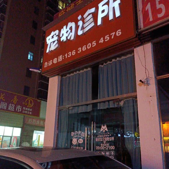 顽皮宝贝宠物诊所:黄冈市麻城市