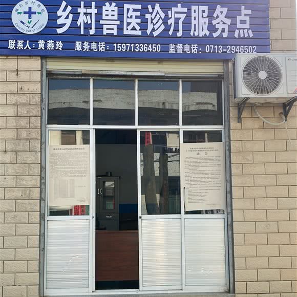 乡村兽医诊疗服务点:黄冈市麻城市