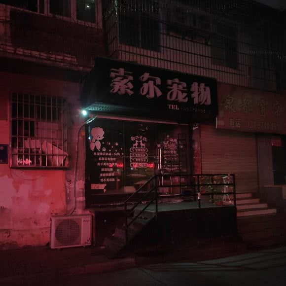 索尔宠物狗:咸宁市咸安区