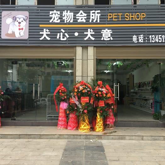 犬心犬意宠物会所:咸宁市咸安区