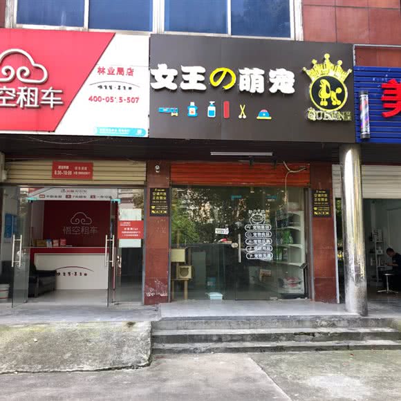 女王的萌宠:咸宁市咸安区