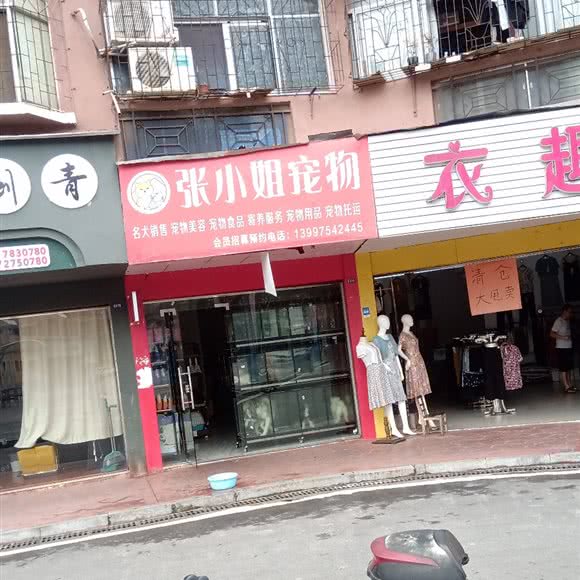 张小姐宠物:咸宁市赤壁市