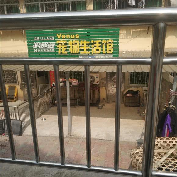 狼部落宠物生活馆:咸宁市赤壁市
