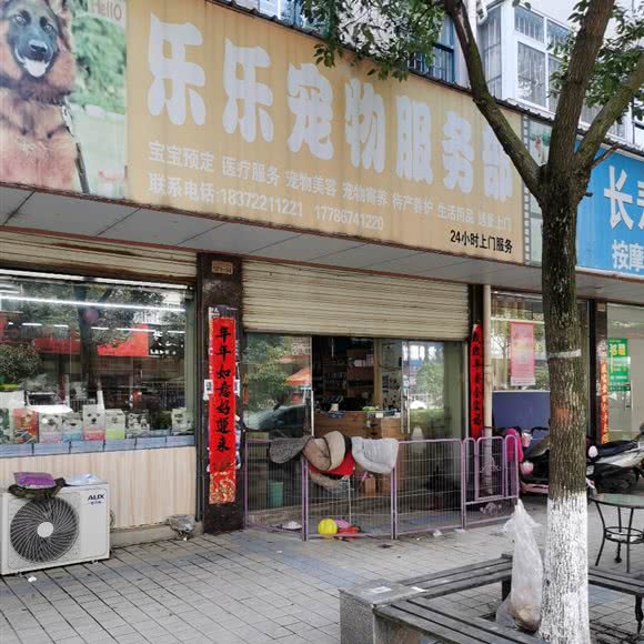 乐乐宠物服务部:随州市广水市