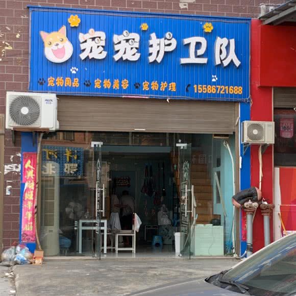 宠宠护卫队:随州市广水市