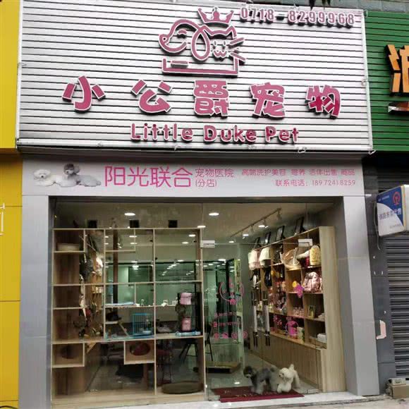 小公爵宠物:恩施土家族苗族自治州恩施市