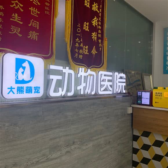 大熊萌宠动物医院:恩施土家族苗族自治州恩施市
