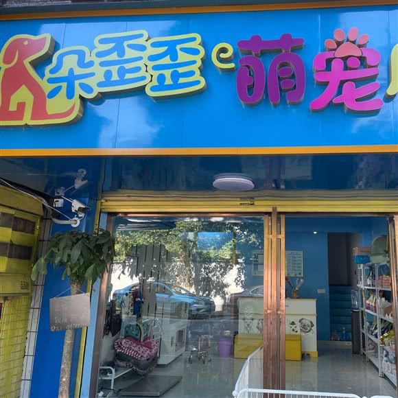 朵歪歪萌宠屋:长沙市芙蓉区