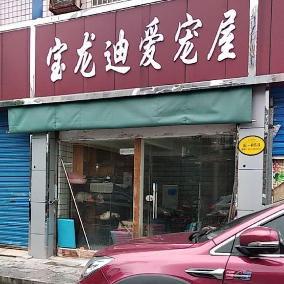宝龙迪爱宠屋:长沙市芙蓉区