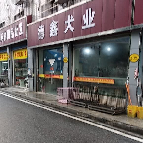 德鑫犬业(南湖店):长沙市芙蓉区