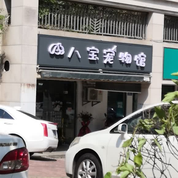 八宝宠物馆:长沙市天心区