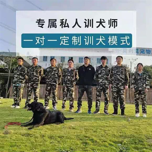 嘉喻训犬学校(长沙岳麓校区):长沙市岳麓区
