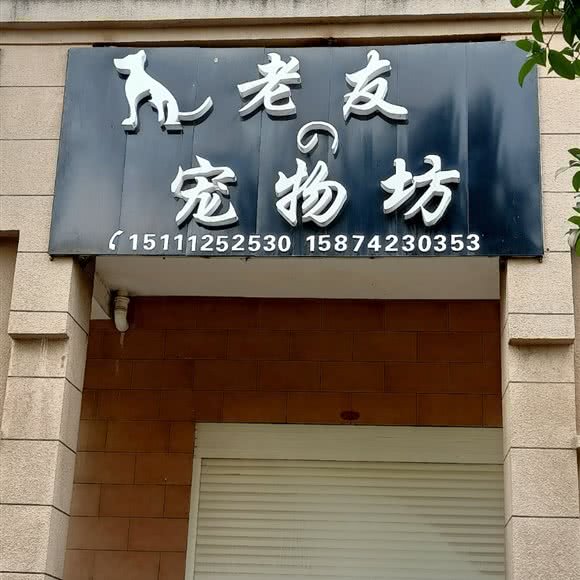 老友の宠物坊:长沙市宁乡市