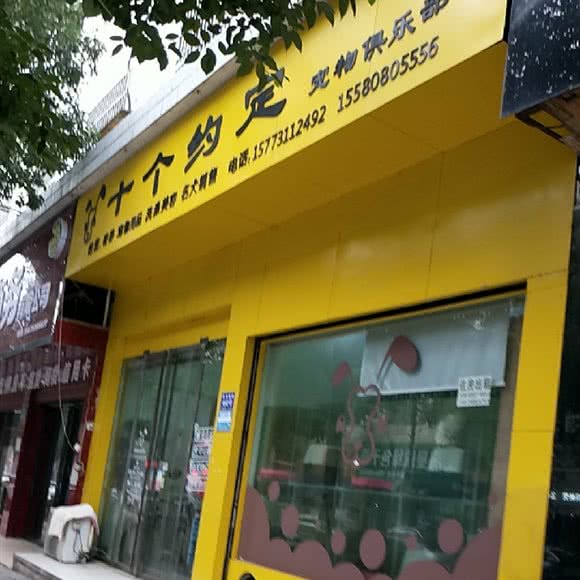 十个约定宠物俱乐部:长沙市宁乡市