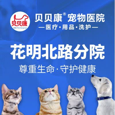 贝贝康宠物医院(宁乡分院):长沙市宁乡市