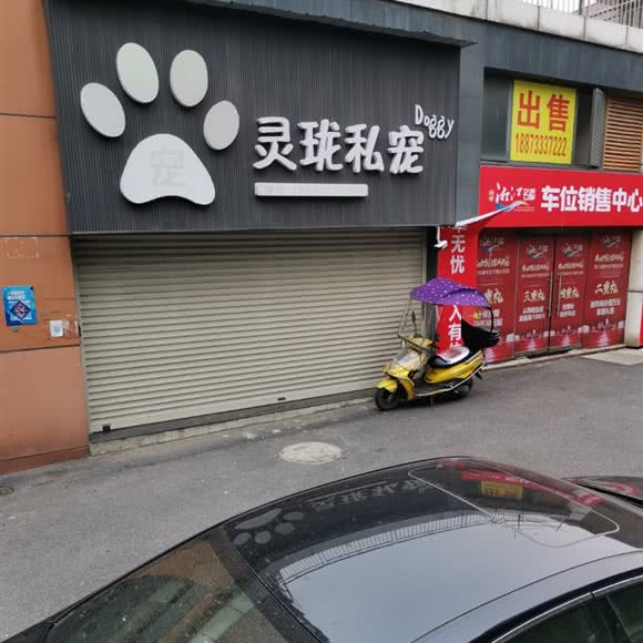 灵珑私宠:株洲市天元区