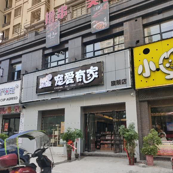 宠爱有家(紫阳街店):株洲市茶陵县