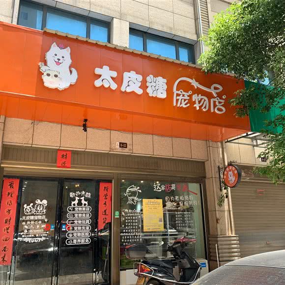 太皮糖宠物店:株洲市茶陵县
