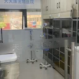 茶陵天天康宠物医院:株洲市茶陵县