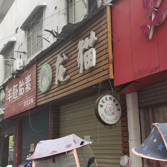 龙猫:湘潭市雨湖区