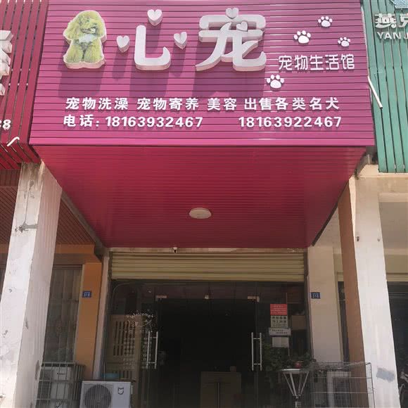 心宠宠物生活馆:湘潭市湘潭县