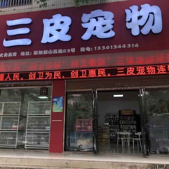 三皮宠物(蒸湘店):衡阳市蒸湘区