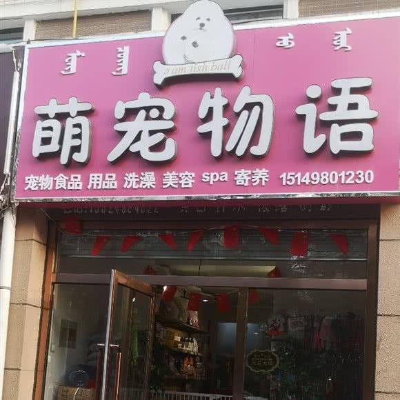 萌宠物语:巴彦淖尔市临河区临河新区附近