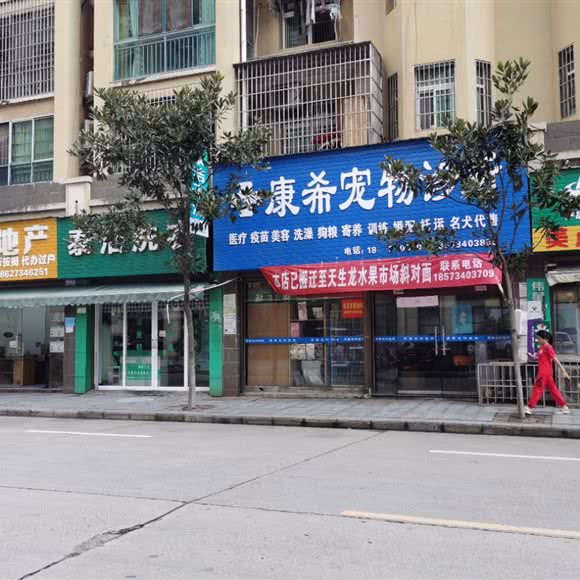 康希宠物诊所:衡阳市衡阳县