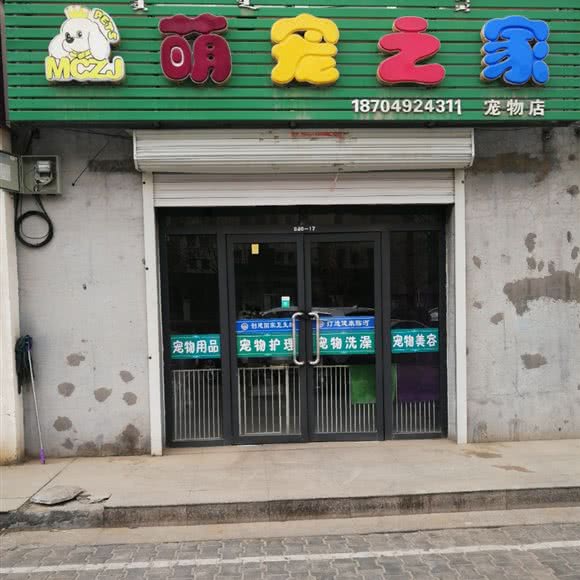 萌宠之家:巴彦淖尔市临河区临河新区附近