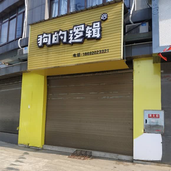 狗的逻辑:衡阳市衡东县