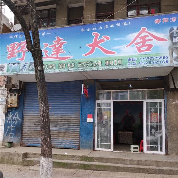 野达犬舍:邵阳市邵阳县