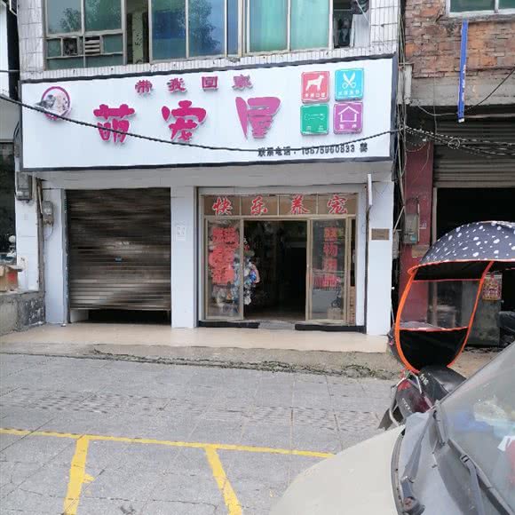 带我回家萌宠屋:邵阳市隆回县