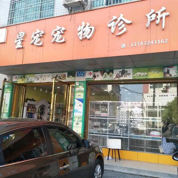 星宠宠物诊所:邵阳市新宁县
