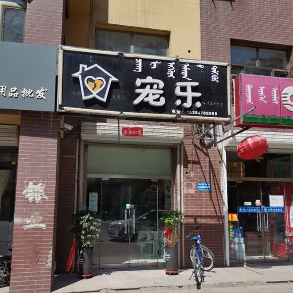 宠乐:巴彦淖尔市临河区鸿臣假日附近