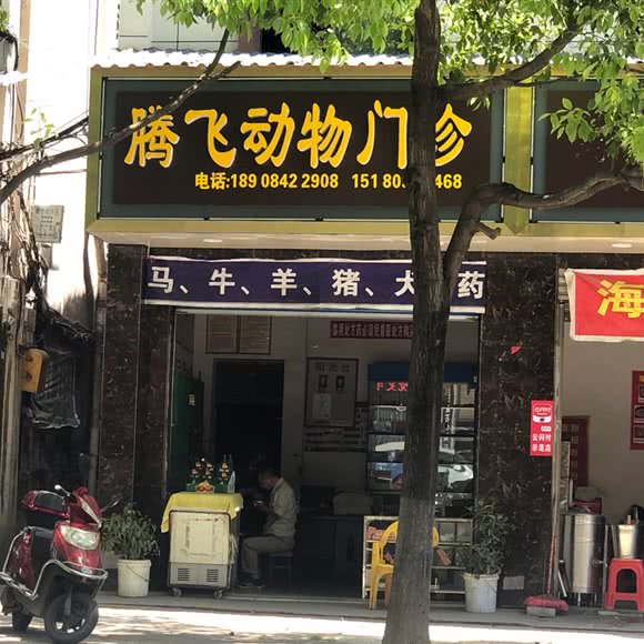 腾飞动物门诊:邵阳市新宁县