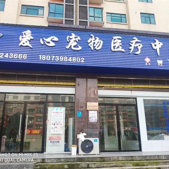 爱心宠物医疗中心:邵阳市武冈市