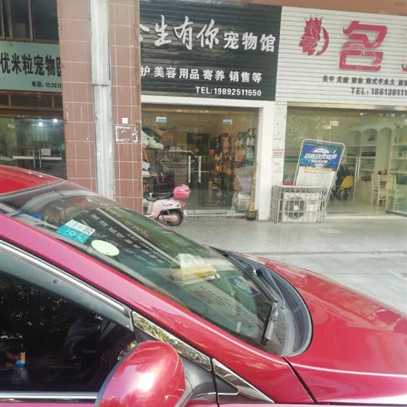 余生有你宠物馆:岳阳市湘阴县