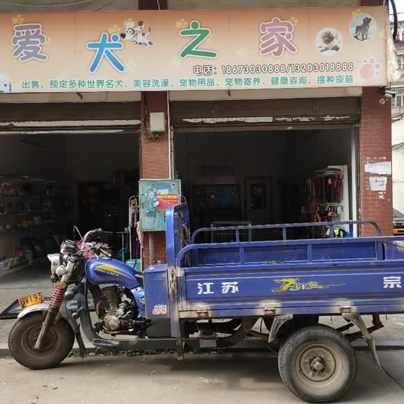 BIBY爱犬之家:岳阳市湘阴县