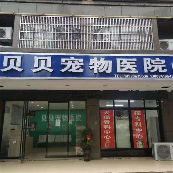 贝贝宠物医院:岳阳市湘阴县