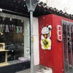 喜喵喵:北京城区东城区雍和宫/地坛附近