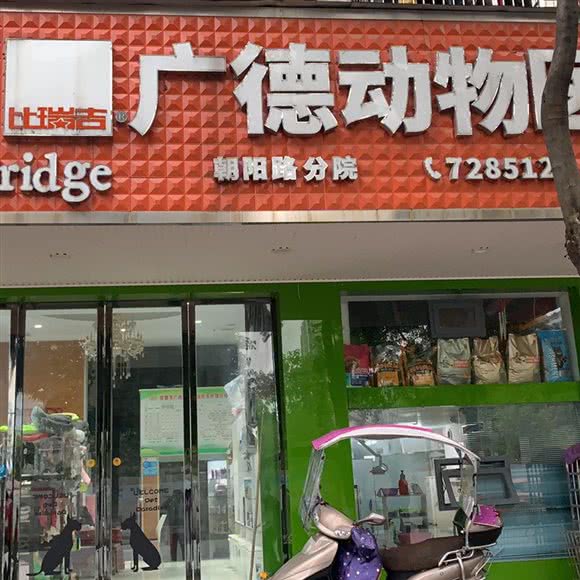 广德动物医院朝阳店(广德朝阳店):常德市武陵区