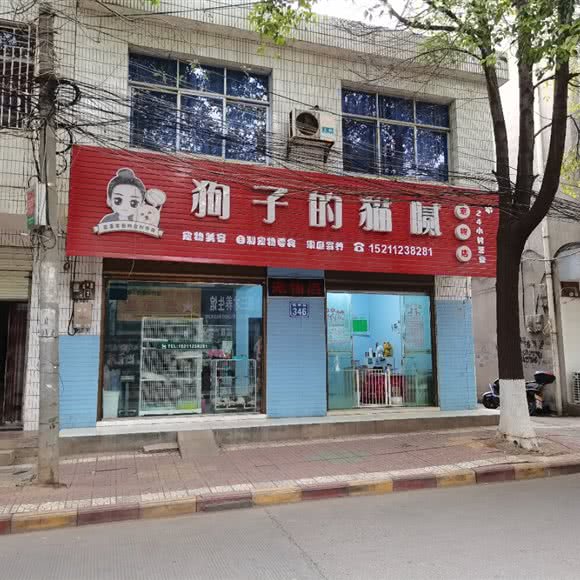 狗子的的猫腻:常德市澧县