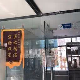 澧州宠物医院(澧州宠物医院(澧县店)):常德市澧县
