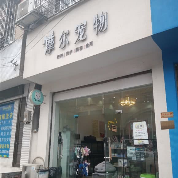 摩尔宠物:常德市桃源县