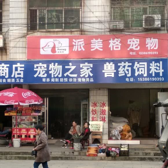派美格宠物:常德市桃源县