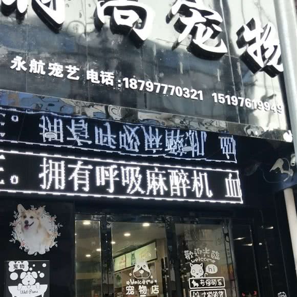 老西门时尚宠物店:常德市石门县