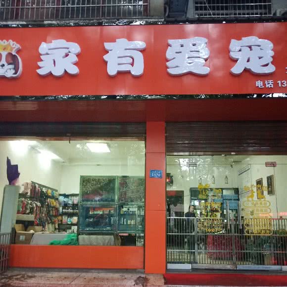 家有爱宠(九澧大道店):常德市津市市