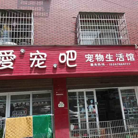 爱宠吧:益阳市南县
