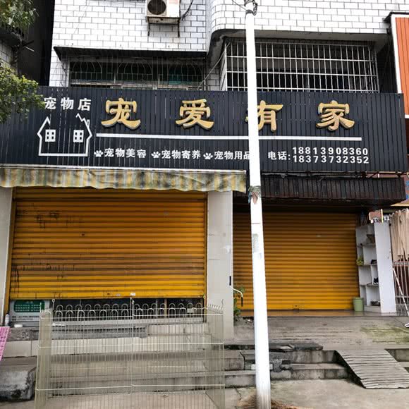 宠爱有家:益阳市沅江市